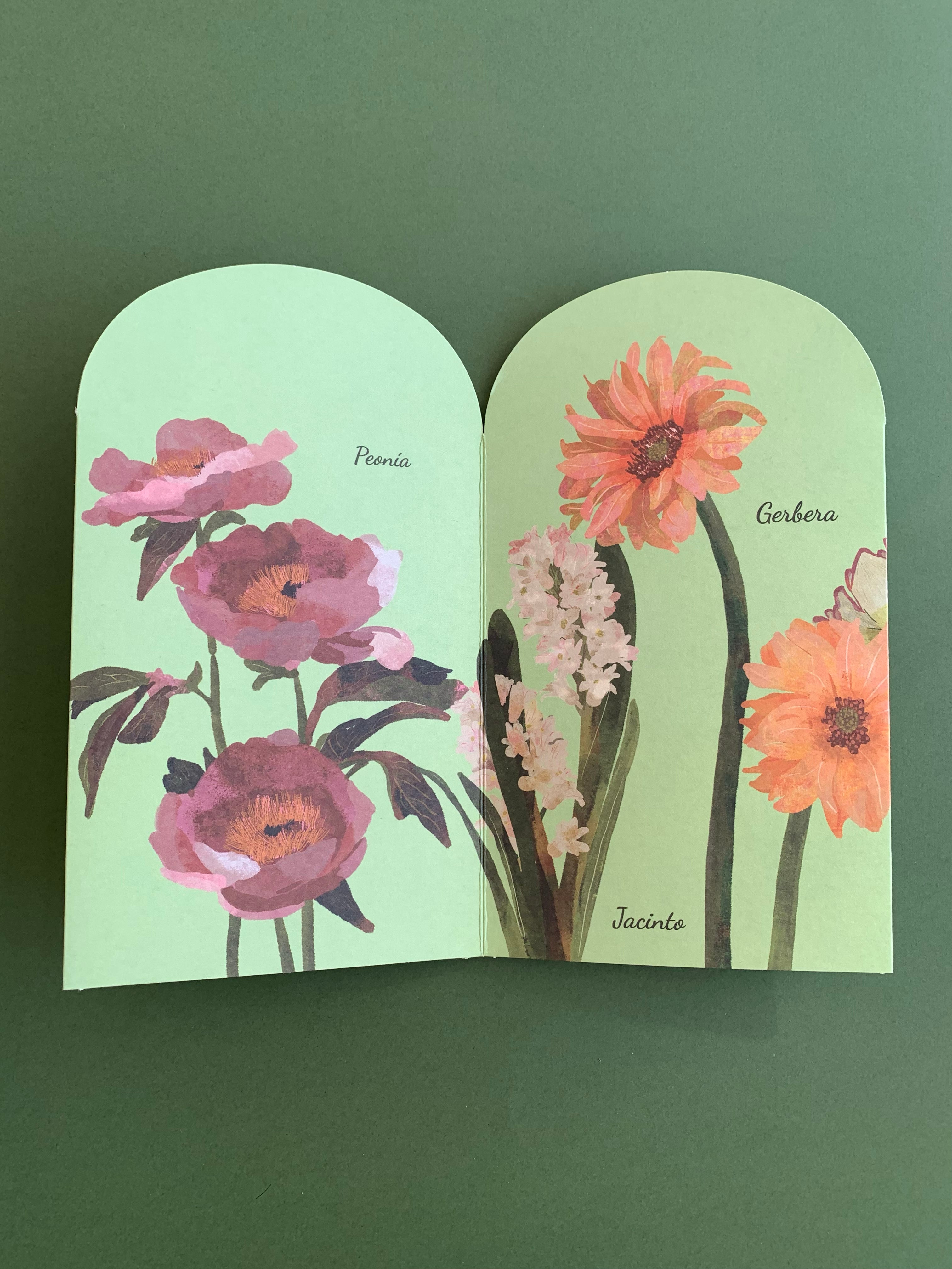 Libro-Acordeón "Invernadero"