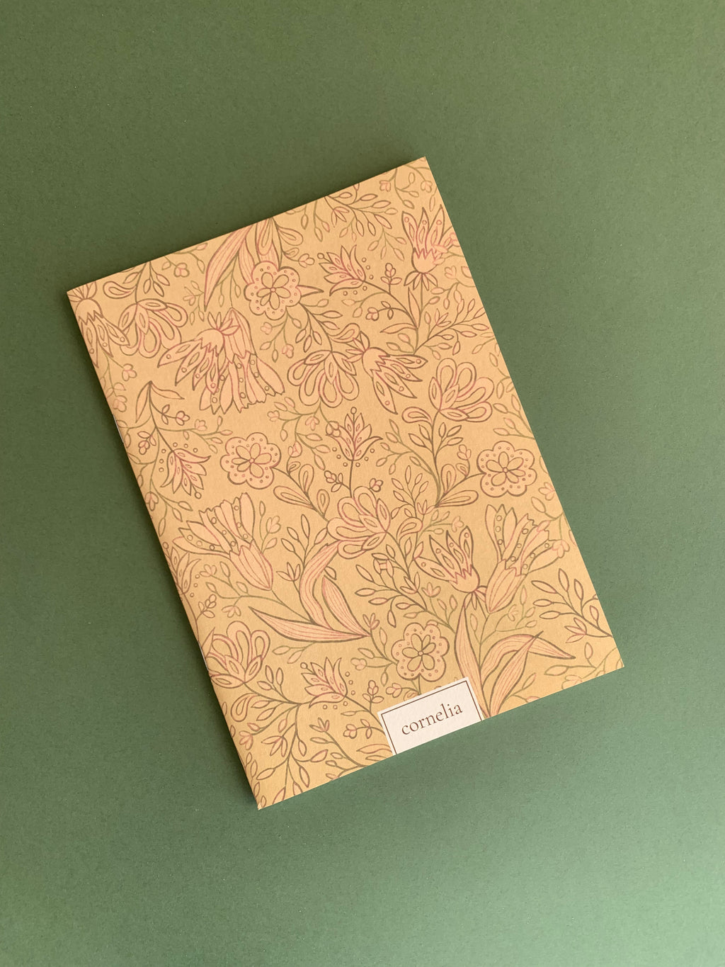 Cuadernos Pandora & Pitti