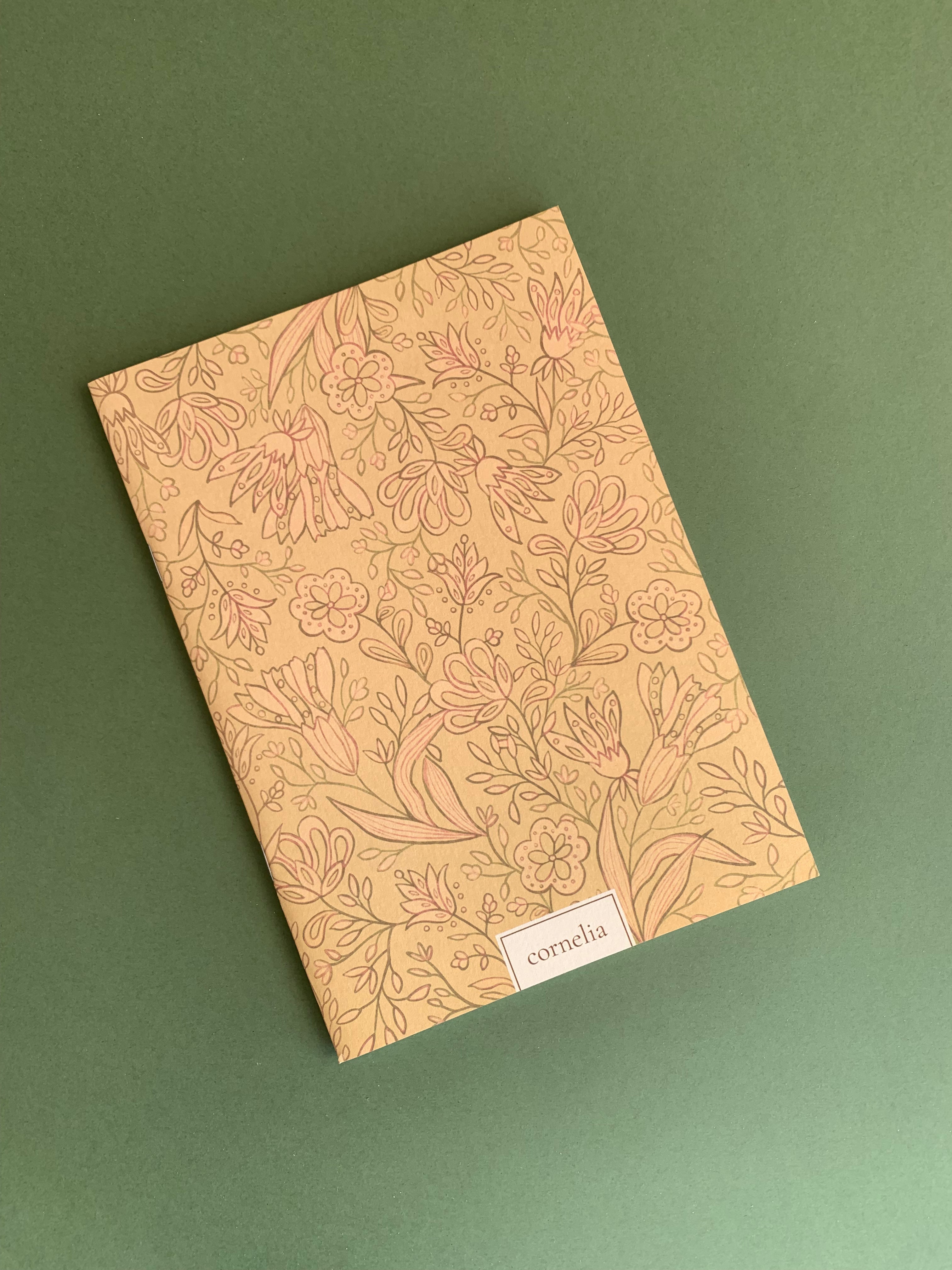 Cuadernos Pandora & Pitti