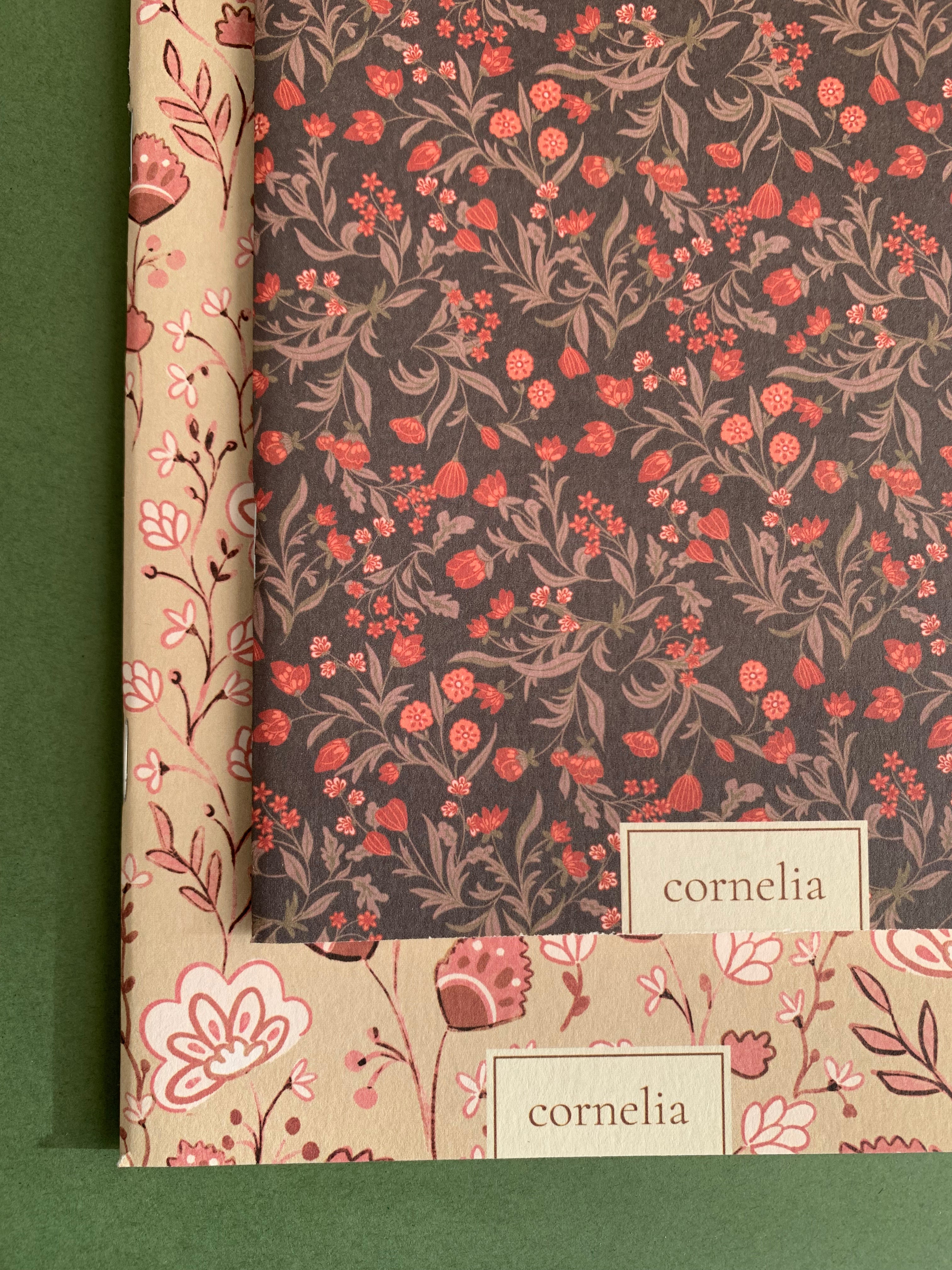 Cuadernos Siena & Delicias