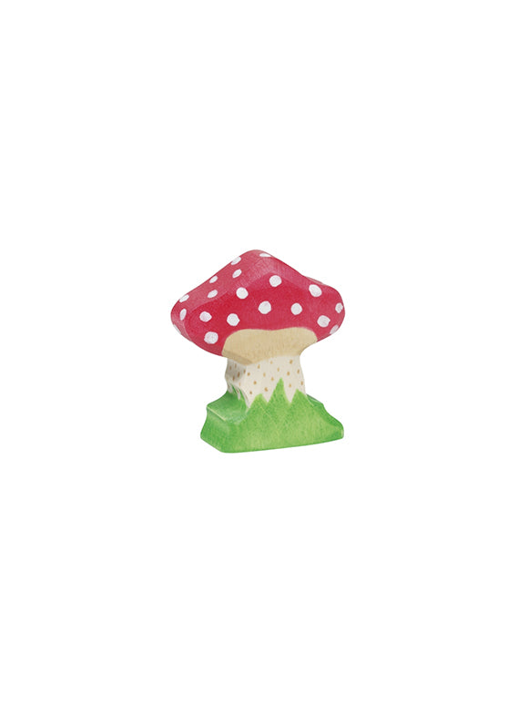 Seta de madera Amanita buscaría