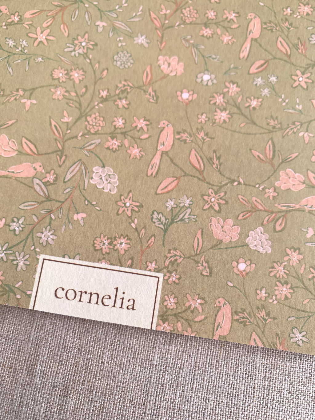 Cuaderno Pandora