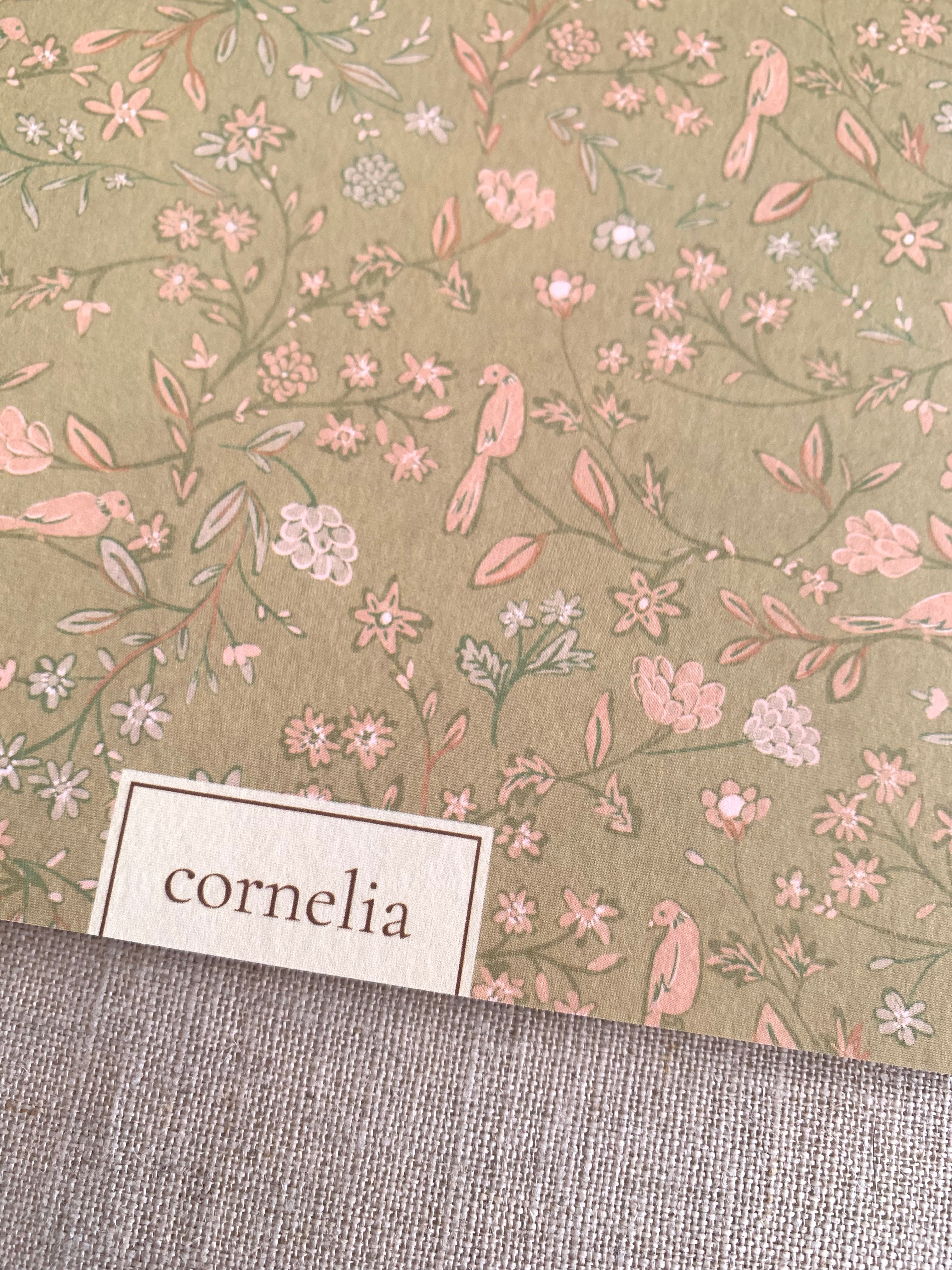 Cuaderno Pandora