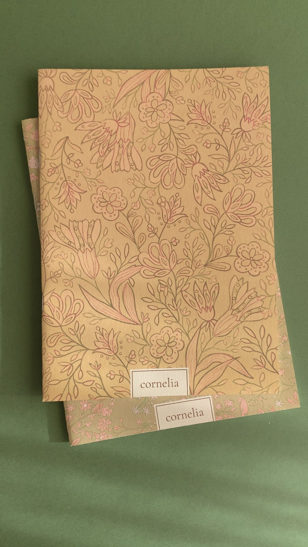 Cuadernos Pandora & Pitti