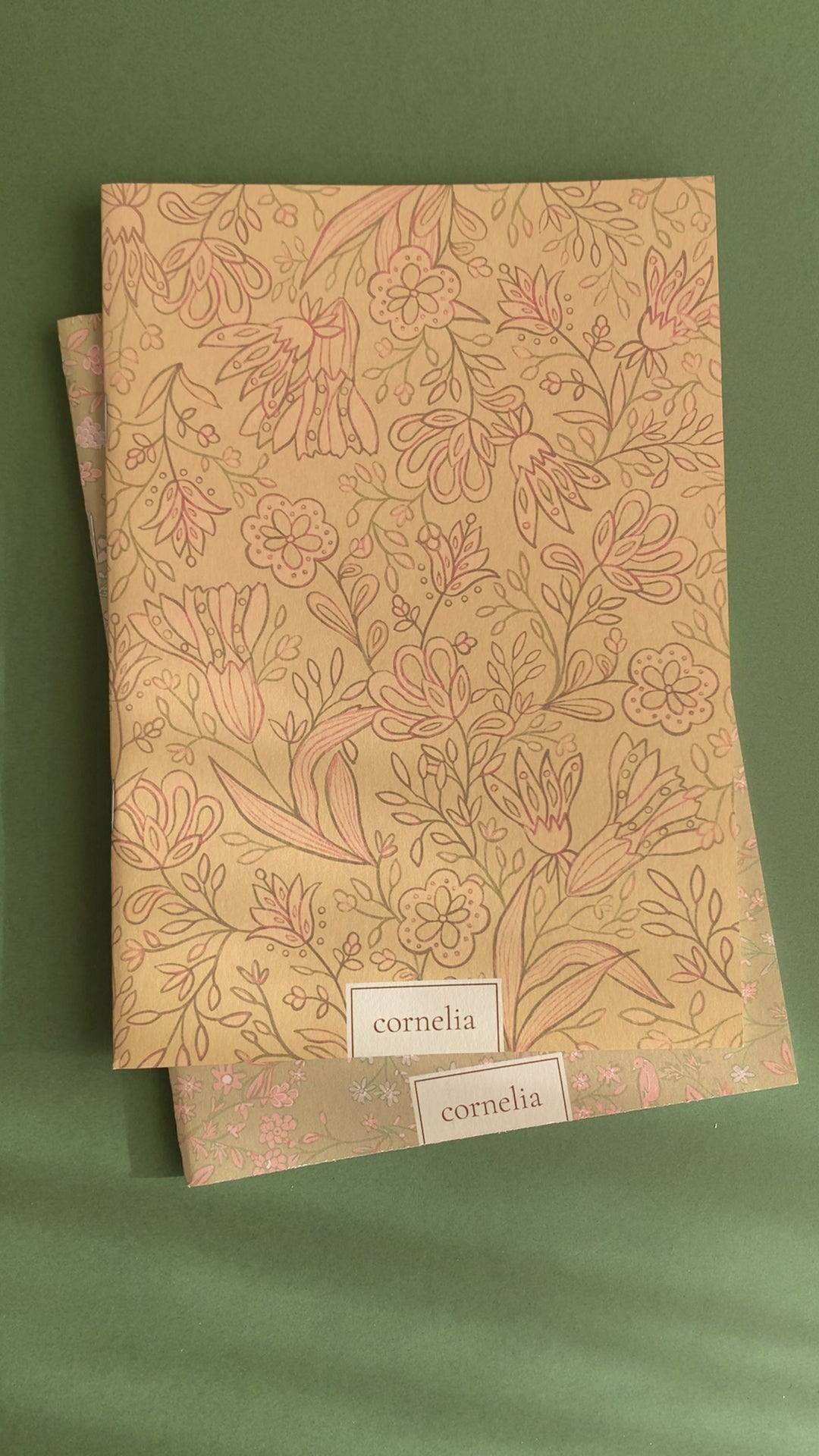 Cuadernos Pandora & Pitti