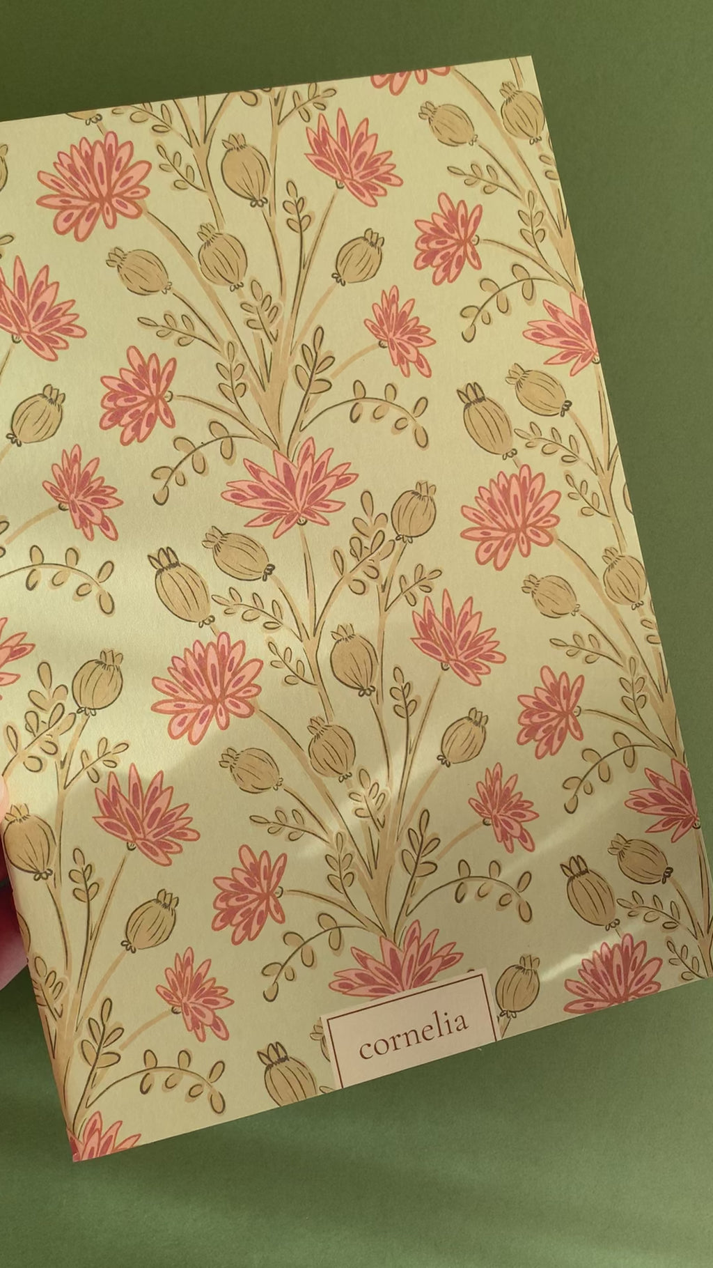 Cuadernos Pienza & Pandora